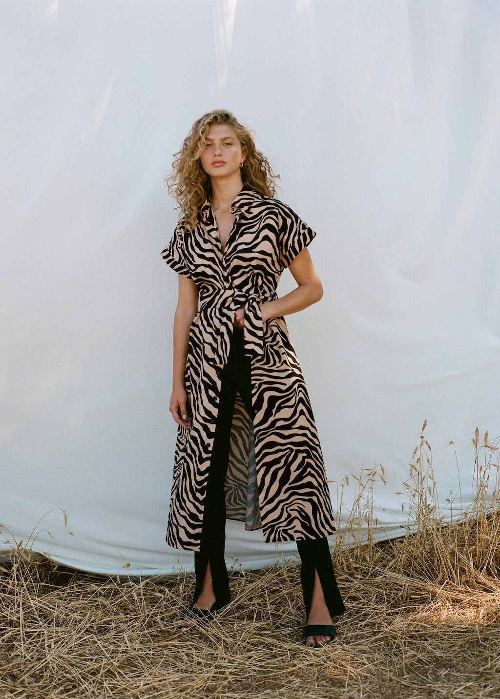 Printed shirt dress