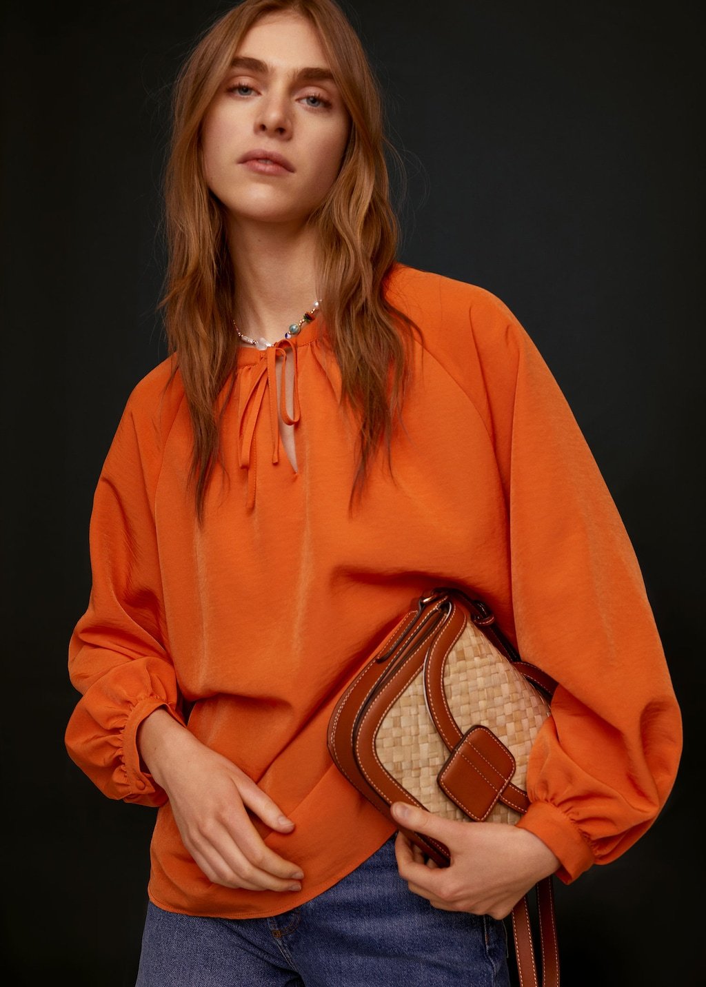 Puff sleeves blouse