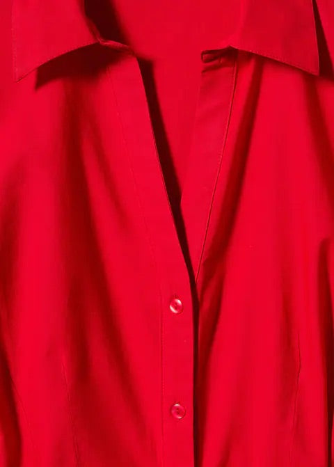 Swiss embroidered shirt dress