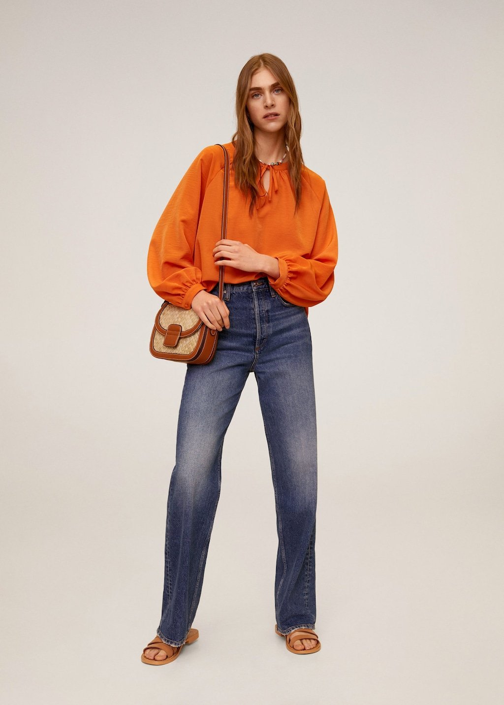 Puff sleeves blouse